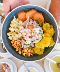 Feeding Royal Decameron Punta Sal Tumbes Feeding Royal Decameron Punta Sal Tumbes