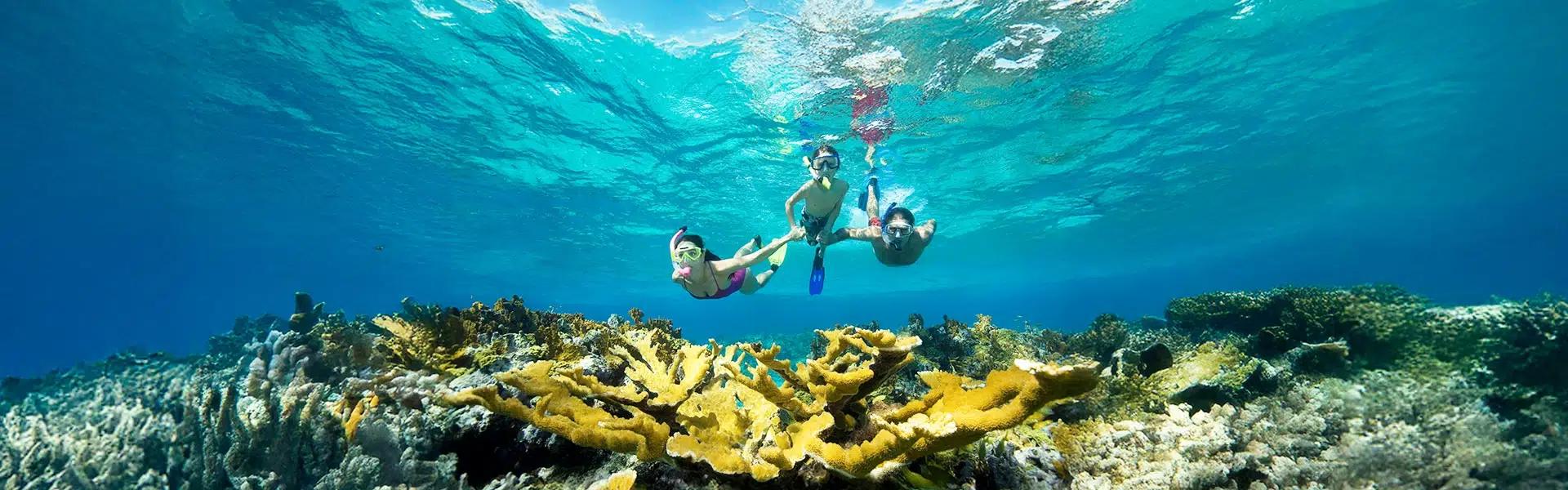 Hoteles Decameron Hoteles Decameron